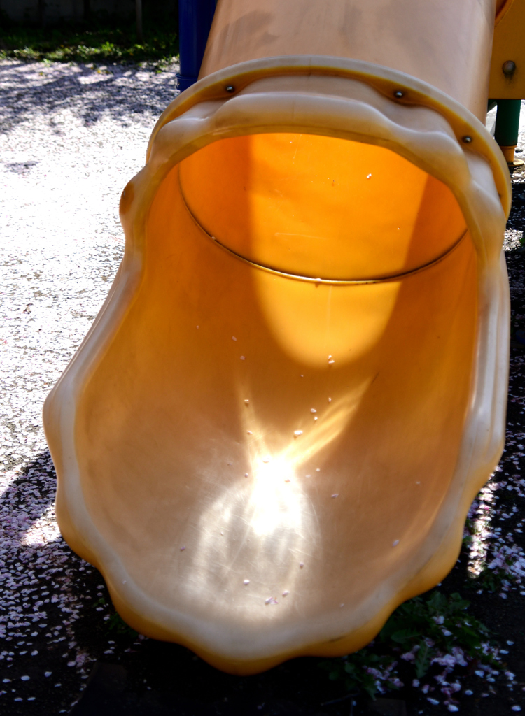 花びら滑る