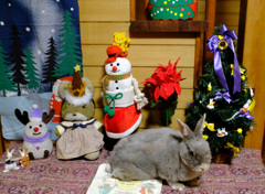 何とか生き延びて