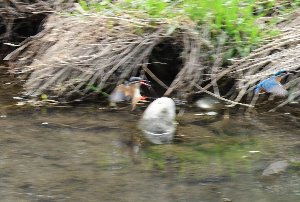 ここまで