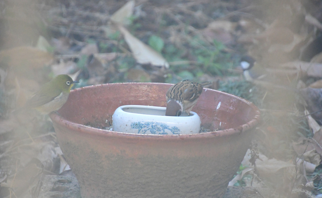 三者が集まってきた