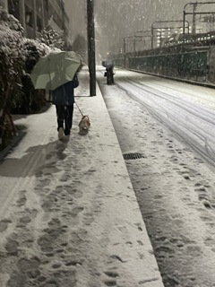 雪の夜道