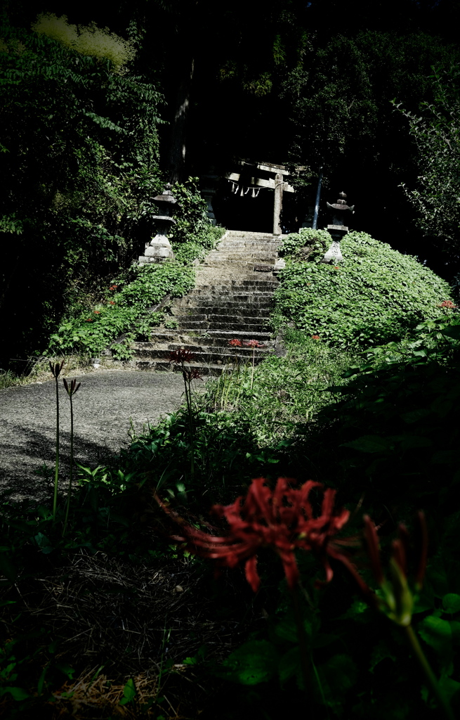 入ってはいけない