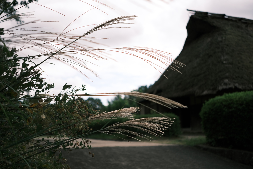 古民家とススキ