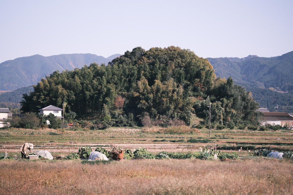 明日香村の日常～飛鳥小山の田園にて