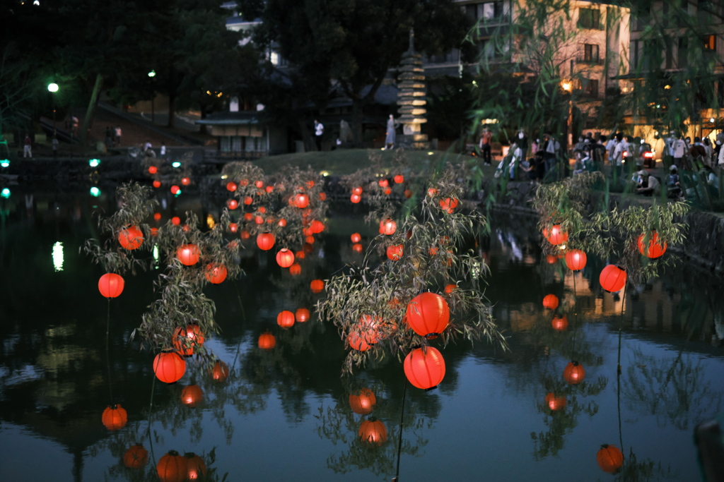 猿沢池のぼんぼり