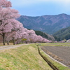 ここから始まる。