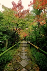美しい雨