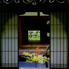 窓の奥