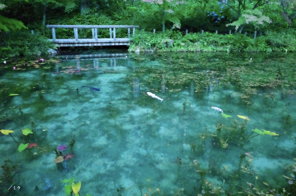 油彩風モネの池