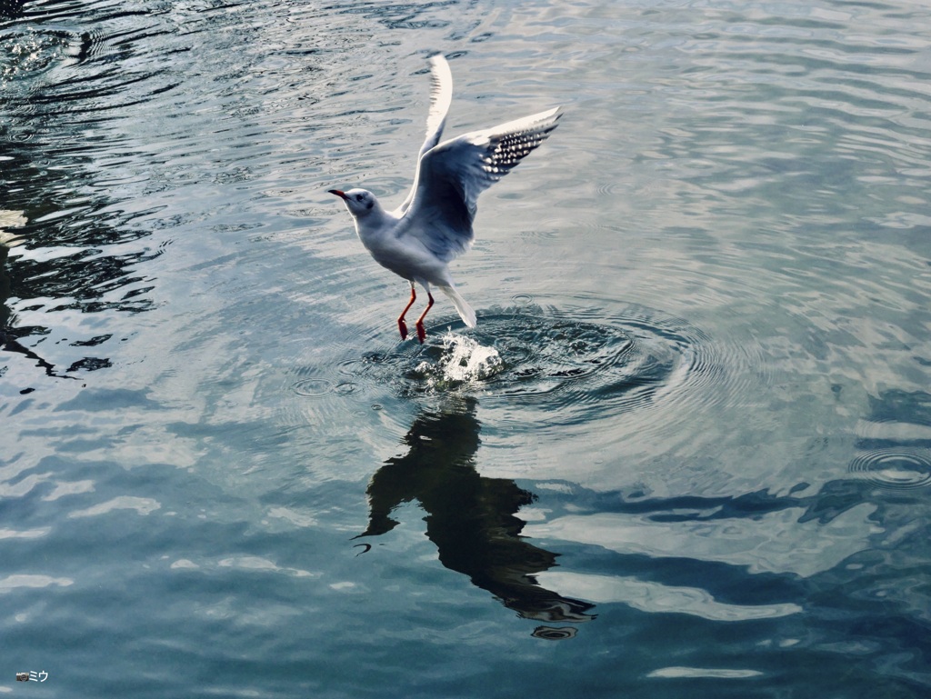 さあ、飛び立とう