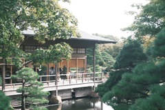 由志園③