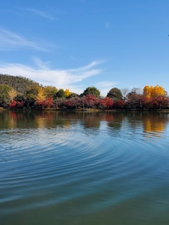 日本最古の庭池
