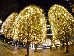 西新宿 2019年12月　集合