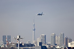 東京スカイツリーと飛行機