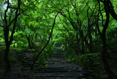 鶏足寺　