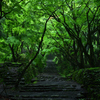 鶏足寺　