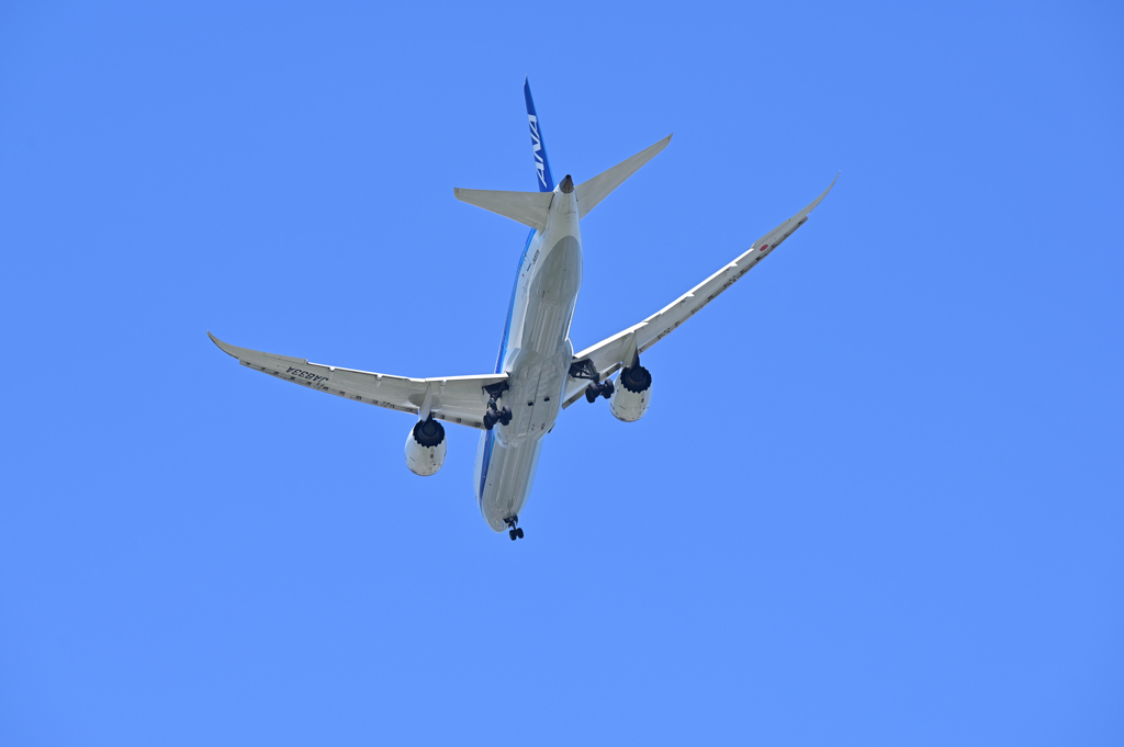 ＡＮＡ　福岡空港