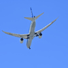 ＡＮＡ　福岡空港
