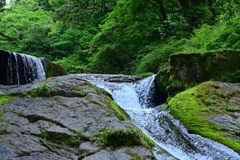 菊池渓谷　滝