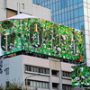 表参道