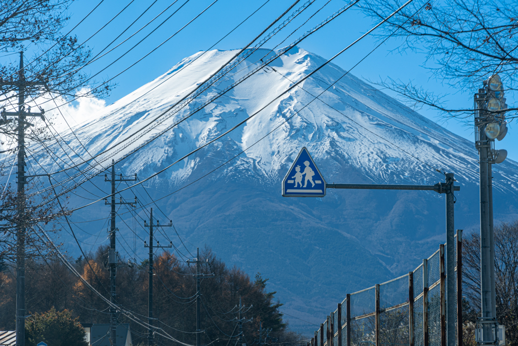 どこで見る富士山が好きですか？①