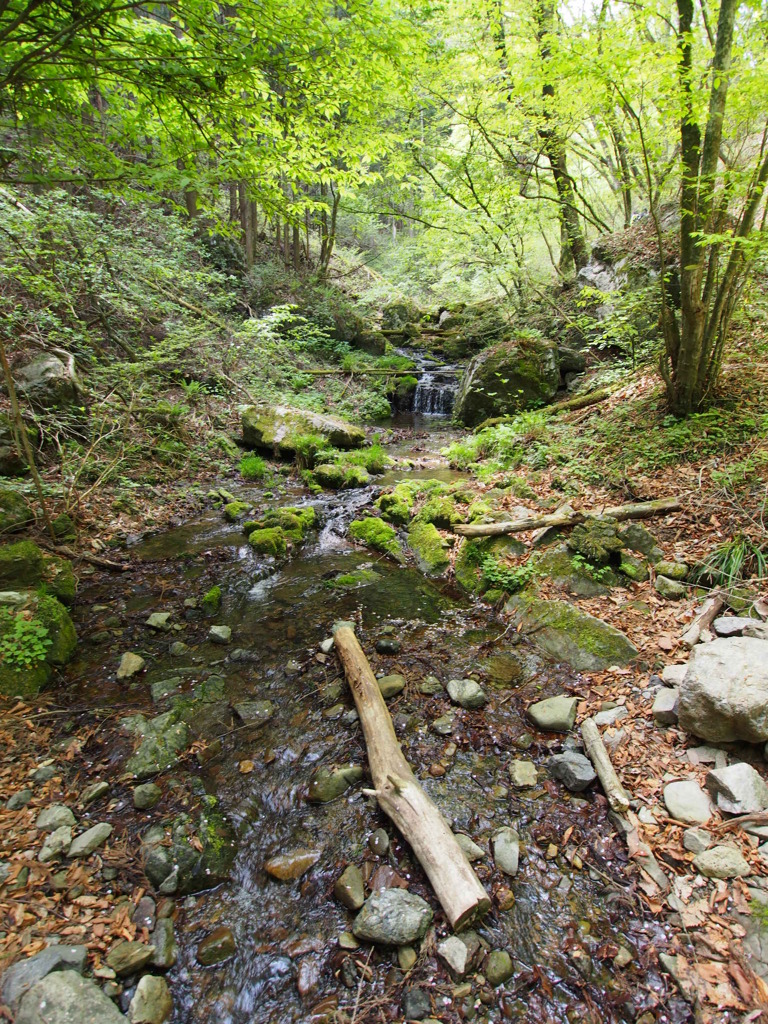 御岳山の清流