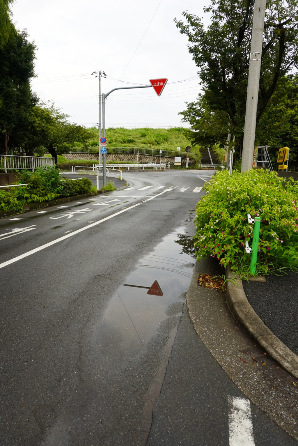 雨上がりの夏