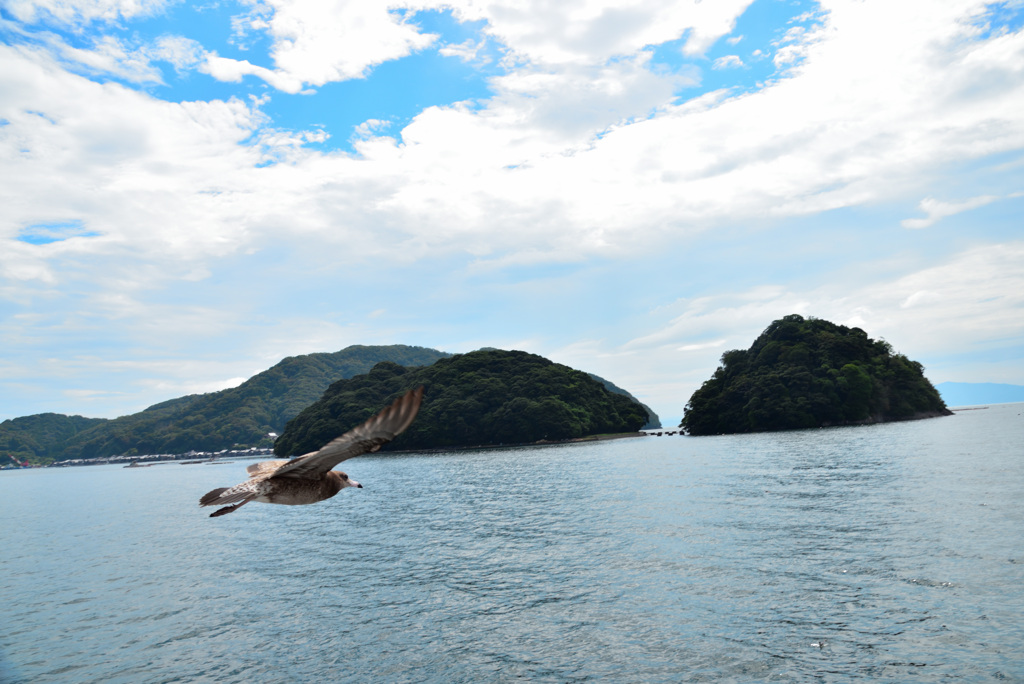 半島の風に吹かれて