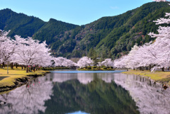春の湖畔