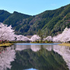 春の湖畔