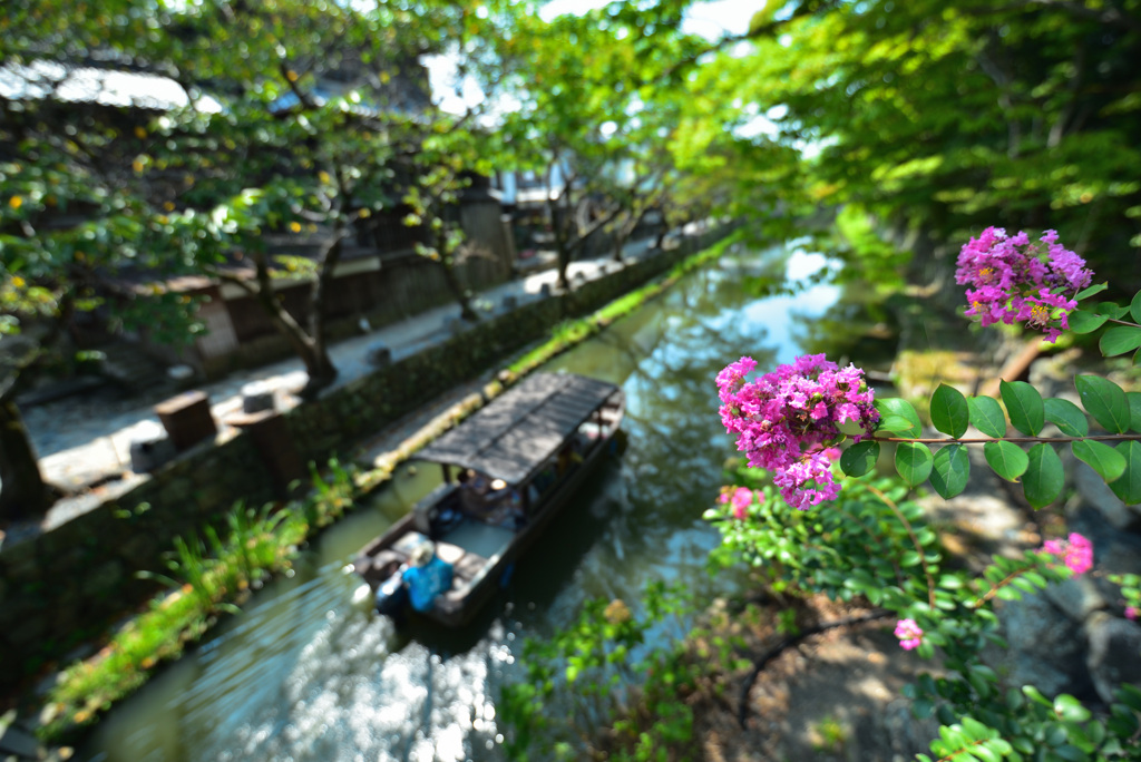 水上の散歩道
