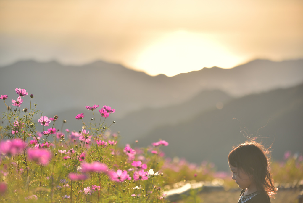 Cosmos and teeny tiny girl