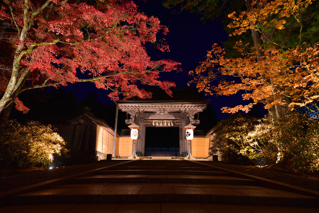 静寂と紅葉