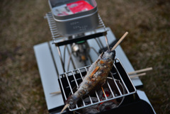 Catch & Eat