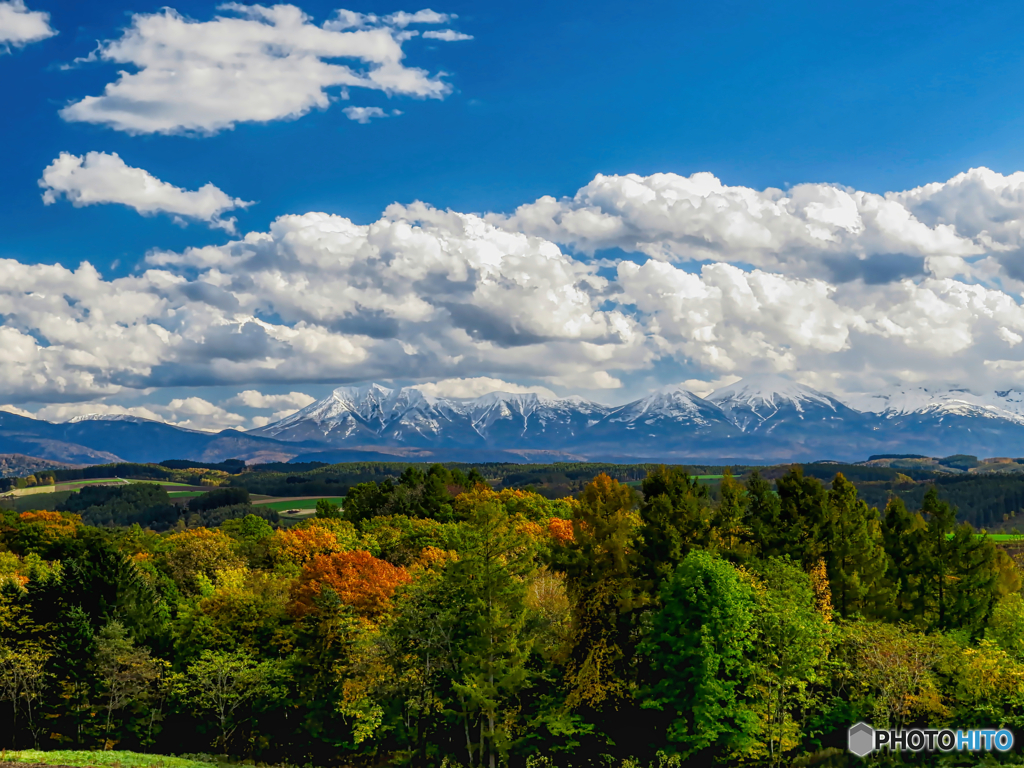 中秋を過ぎて・・・