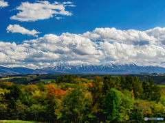 中秋を過ぎて・・・