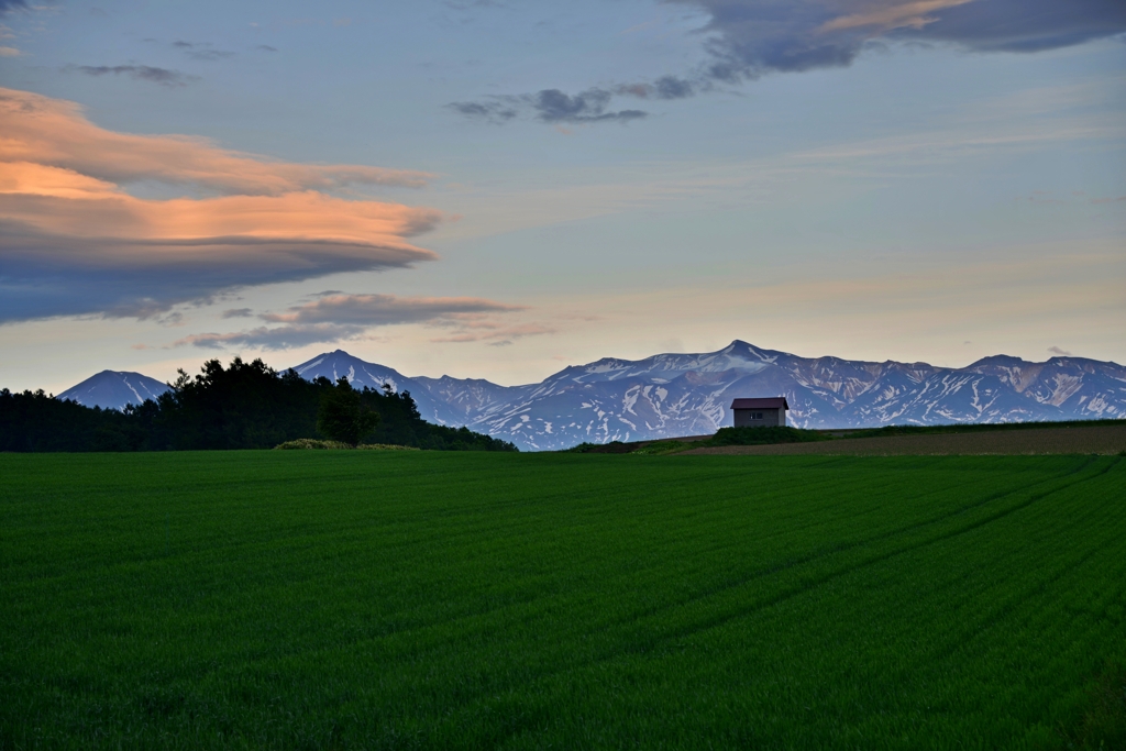 小麦畑の夕暮れ