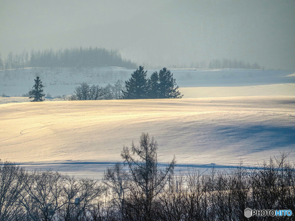 雪原の記憶