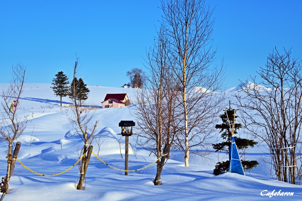 雪原の赤屋根の家