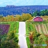 秋めく丘陵地帯