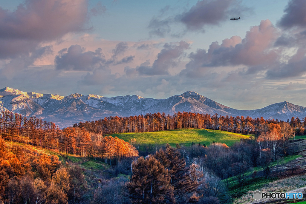 緑と黄葉の記憶