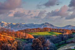 緑と黄葉の記憶