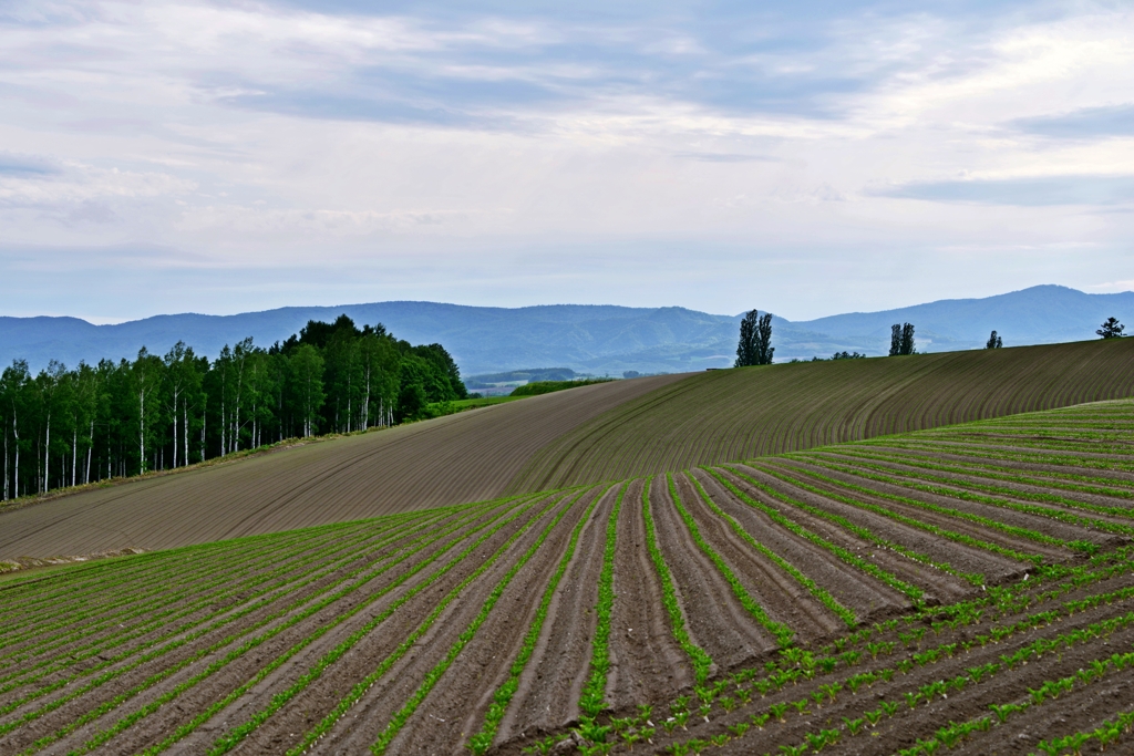 Undulating Earth