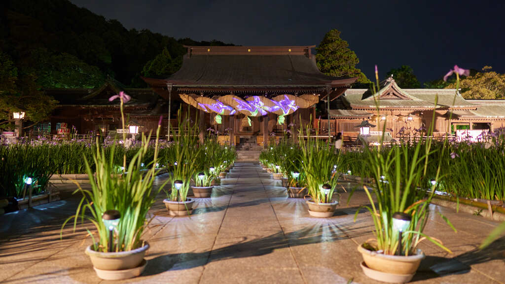 宮地嶽神社菖蒲まつり　６