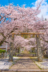 香春神社一ノ鳥居