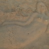 砂のマーメイド