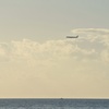 旅客機と船