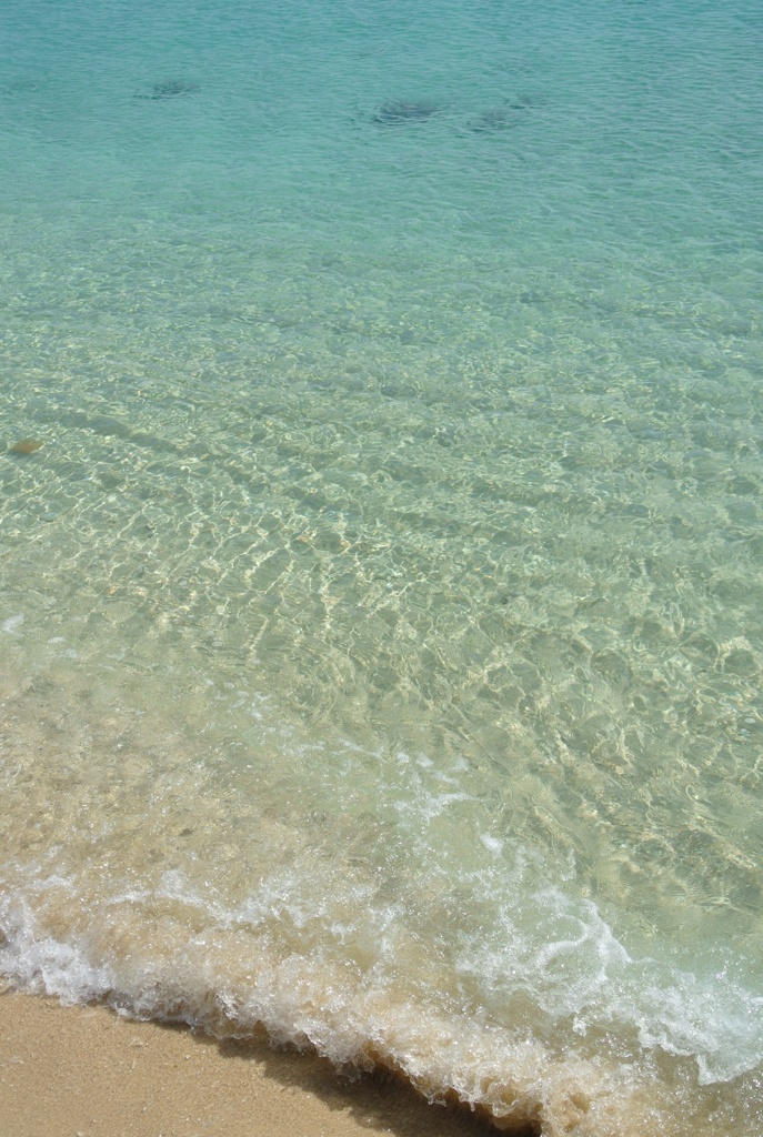 静かな夏