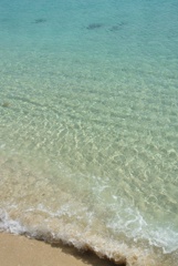 静かな夏