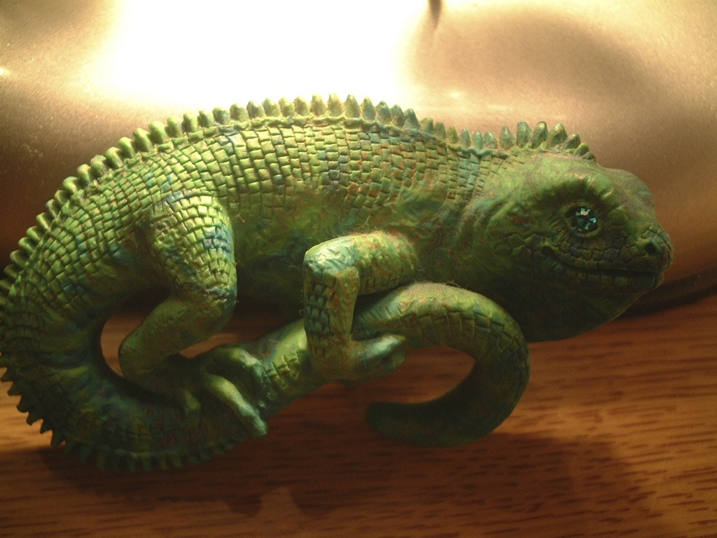 chameleon eyes